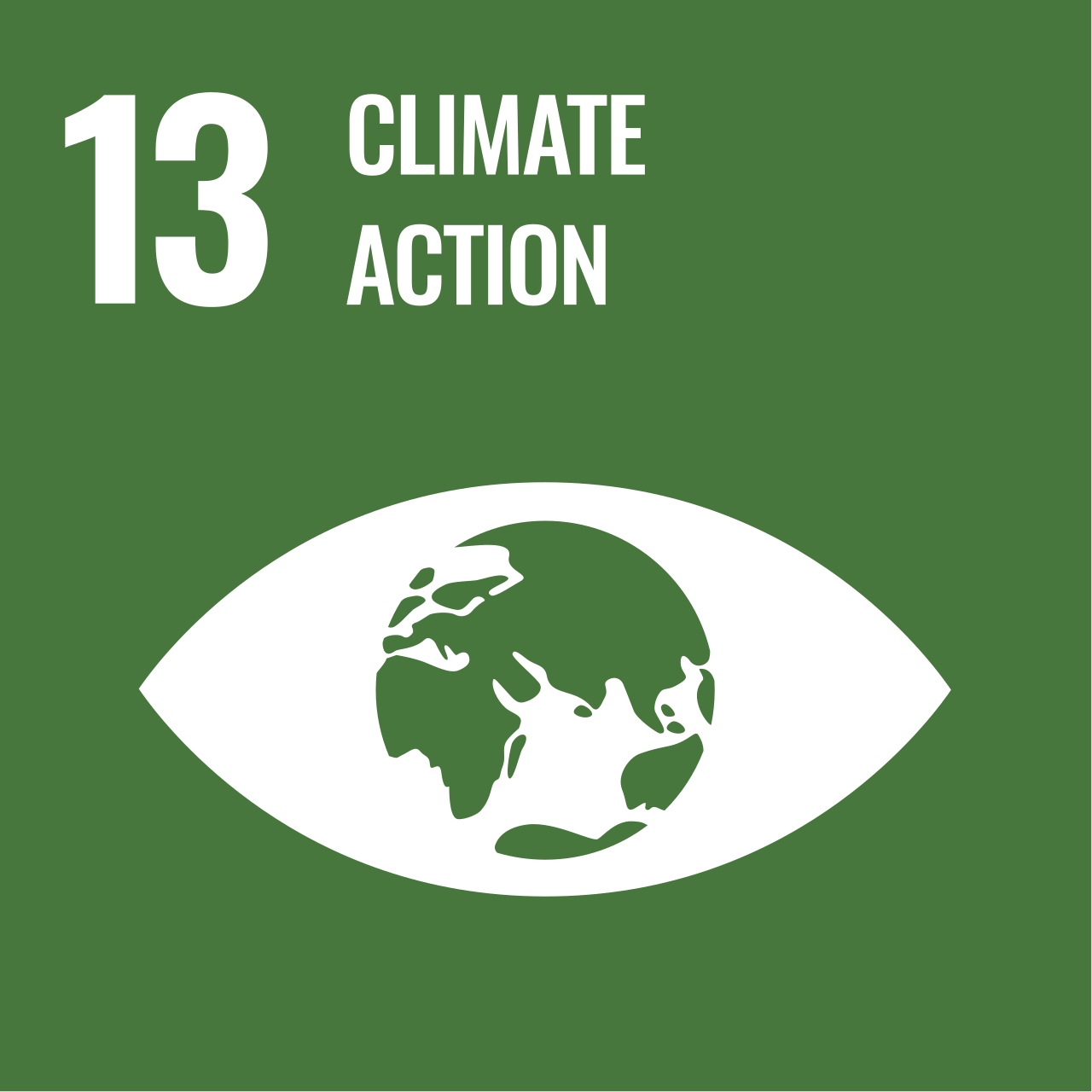 UN Sustainable Development Goal 13: Climate Action